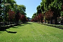 Lago di Como_109